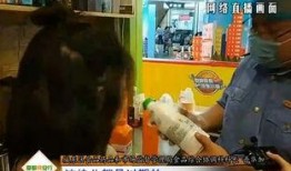 后厨爆料现场视频大全最新,揭秘厨房那些不为人知的秘密
