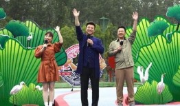 楚天传媒爆料视频大全最新,揭秘热点事件，追踪社会动态