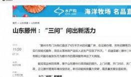 滕州最新爆料新闻报道内容,聚焦热点事件，揭秘背后真相